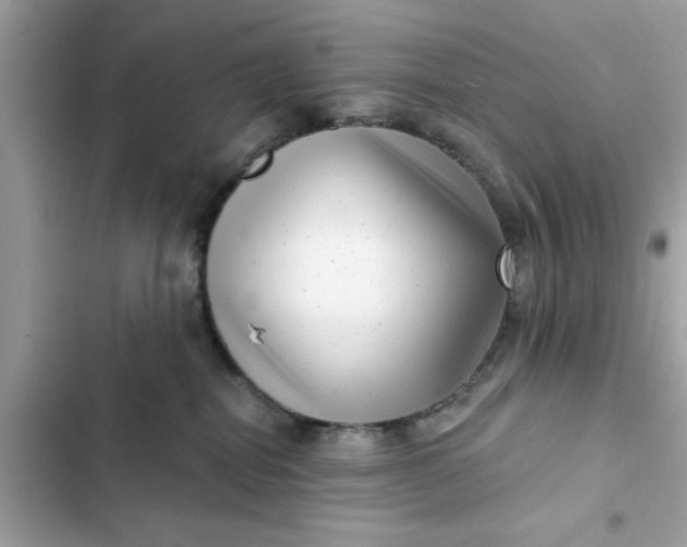 X0000102350282200808151757