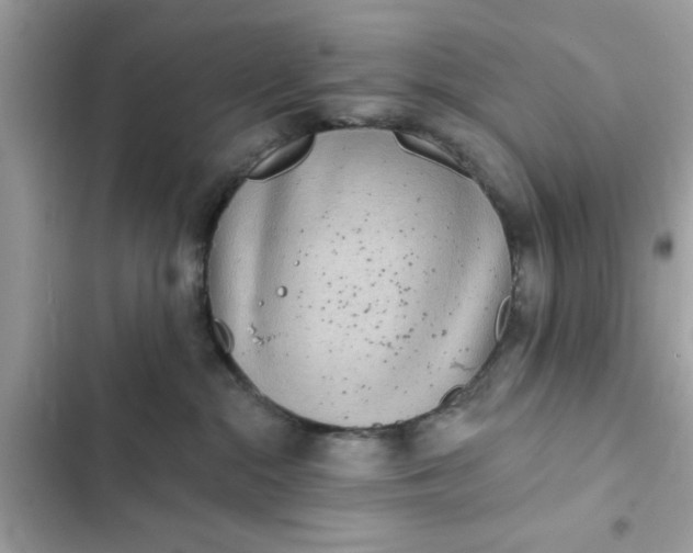 X0000102350284200808151757