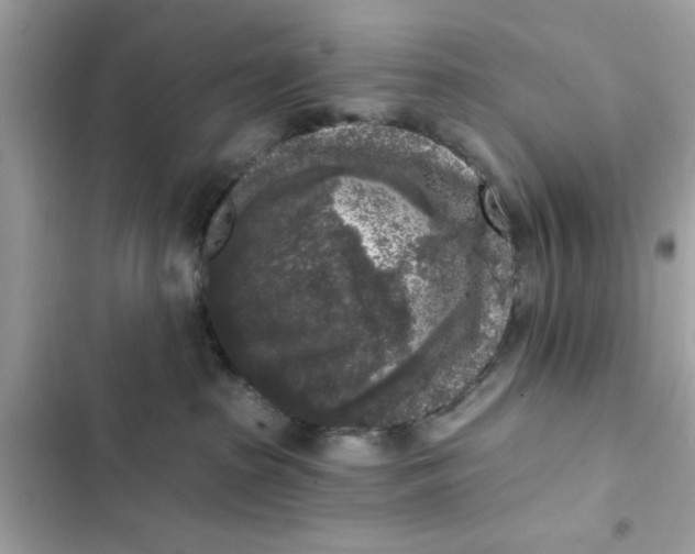 X0000102350285200808151757