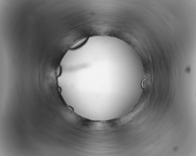 X0000102350286200808151757