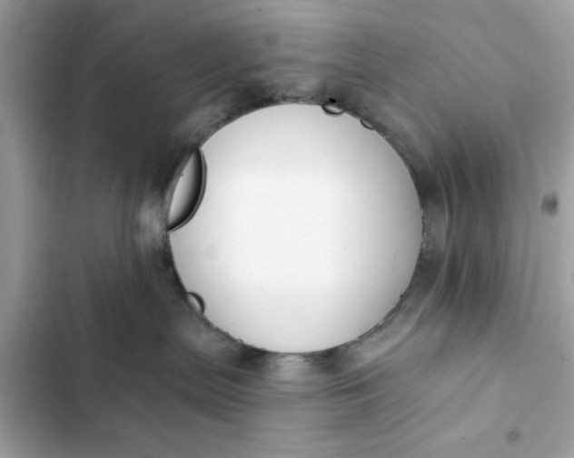 X0000102350287200808151757