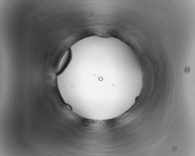 X0000102350288200808151757