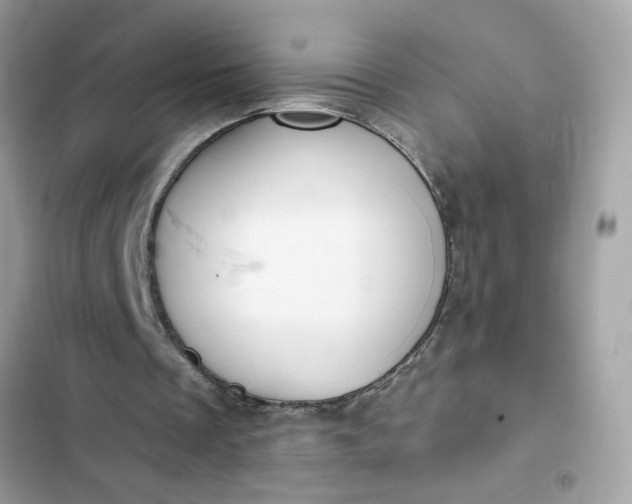 X0000102350289200808151757