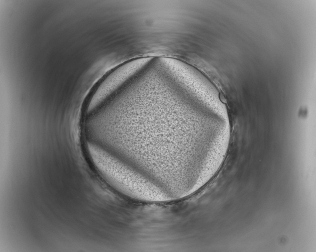 X0000102350290200808151757