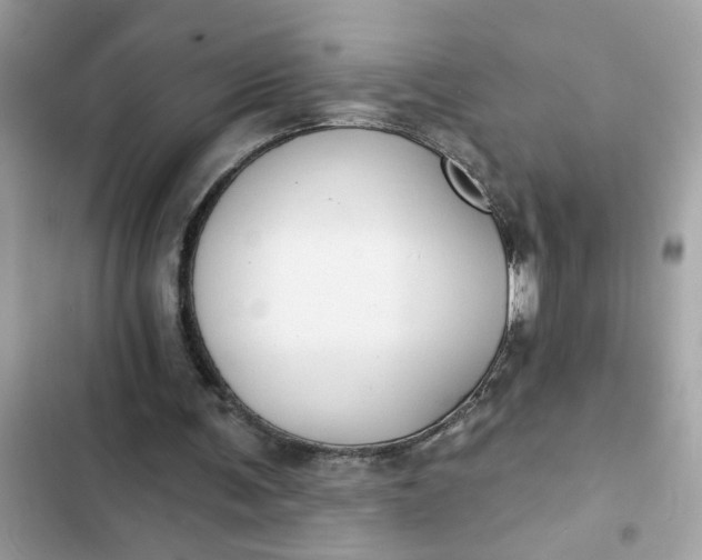 X0000102350291200808151757