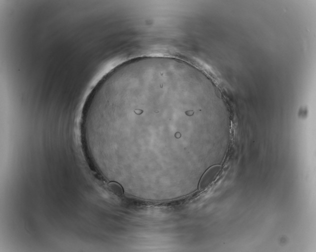 X0000102350292200808151757