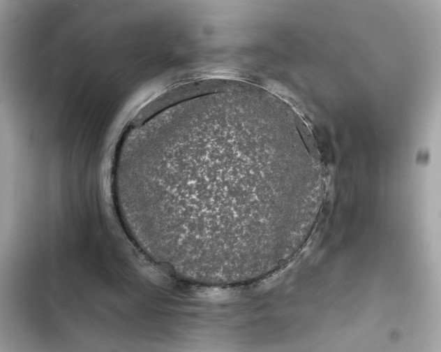 X0000102350293200808151757