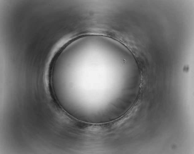 X0000102350294200808151757