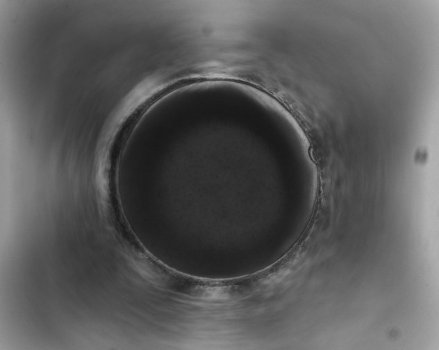 X0000102350295200808151757