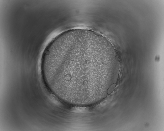 X0000102350296200808151757