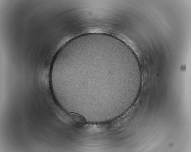 X0000102350297200808151757