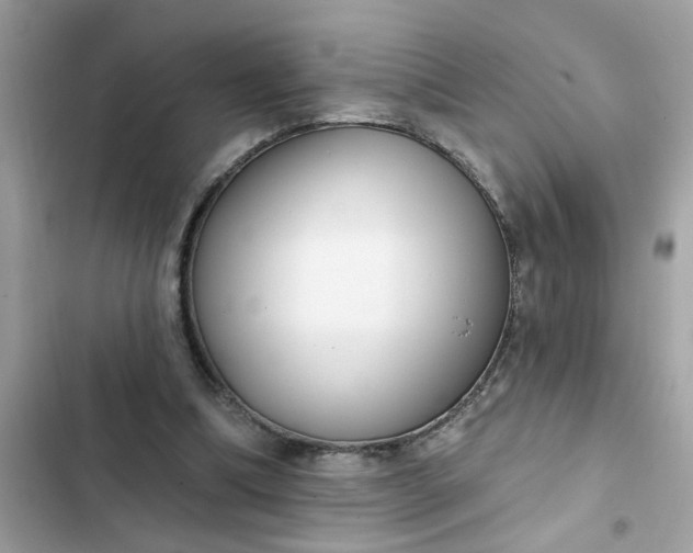 X0000102350298200808151757