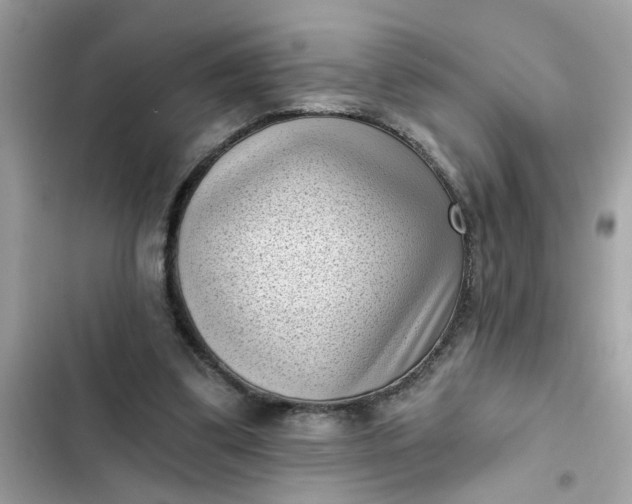 X0000102350299200808151757