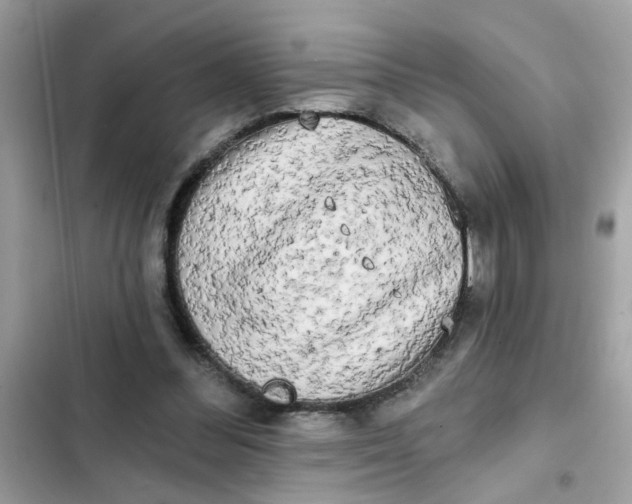 X0000102350300200808151757