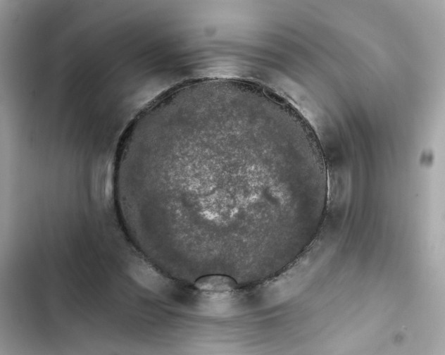 X0000102350301200808151757