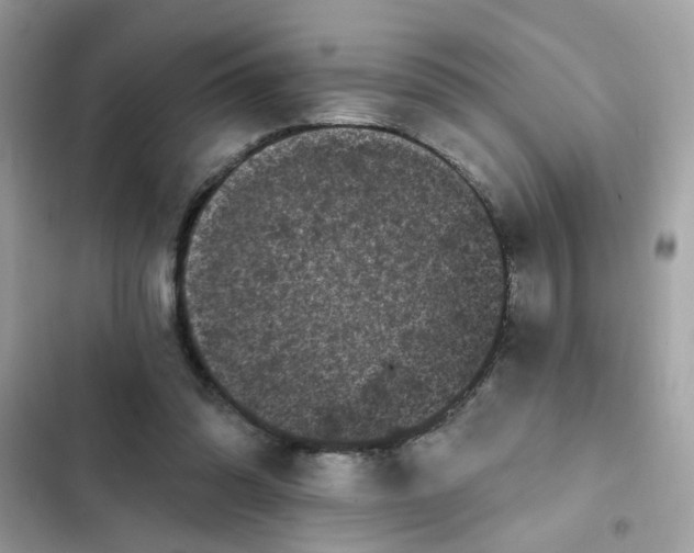 X0000102350302200808151757