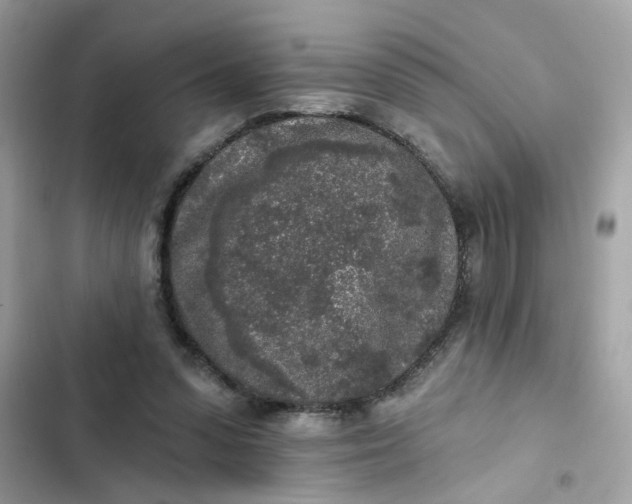 X0000102350303200808151757