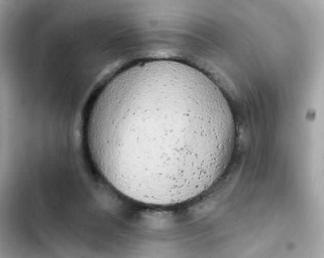 X0000102350304200808151757