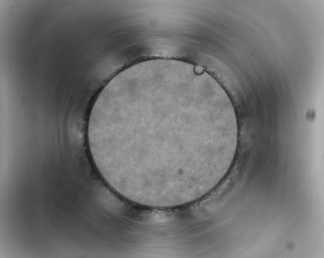 X0000102350305200808151757