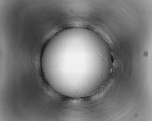 X0000102350306200808151757