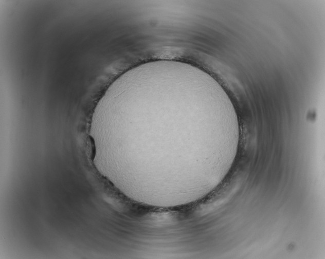 X0000102350307200808151756