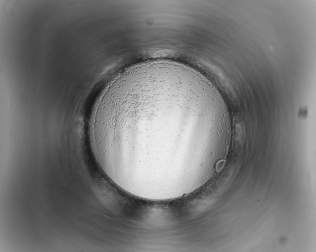 X0000102350308200808151756