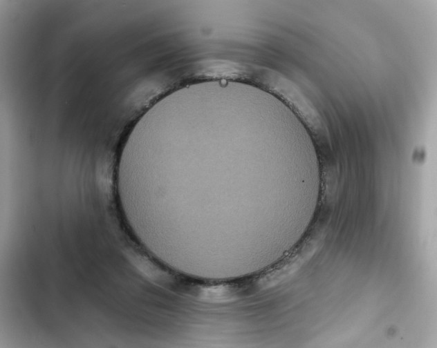 X0000102350309200808151756