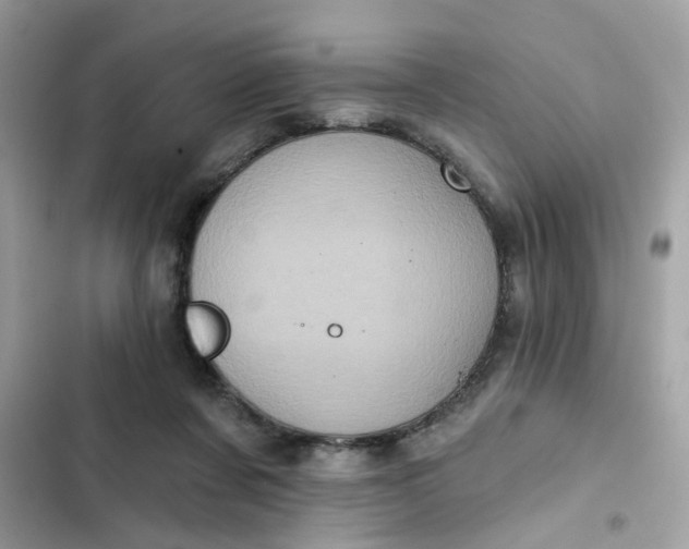 X0000102350311200808151756