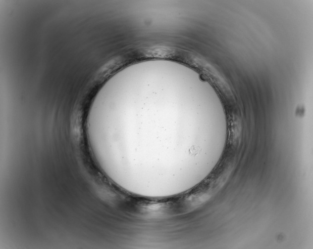 X0000102350312200808151756