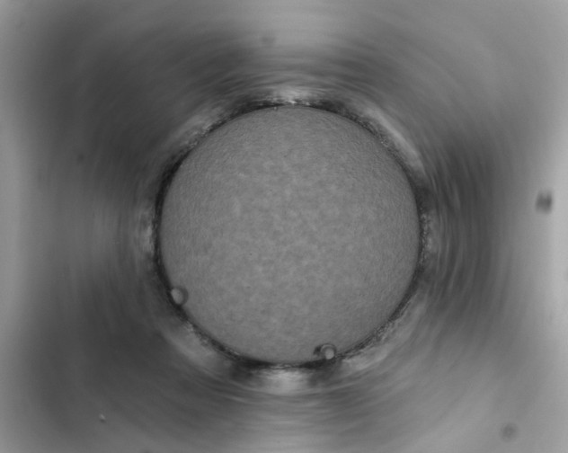 X0000102350313200808151756