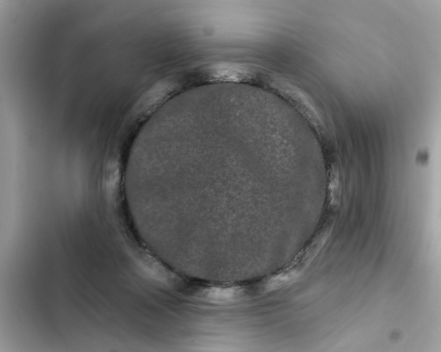 X0000102350314200808151756