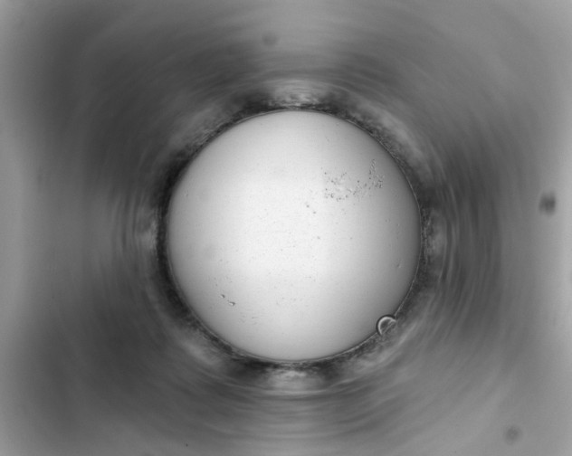 X0000102350315200808151756