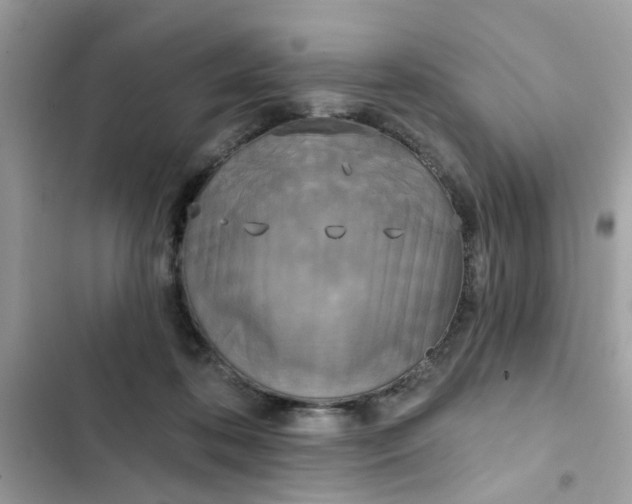 X0000102350316200808151756