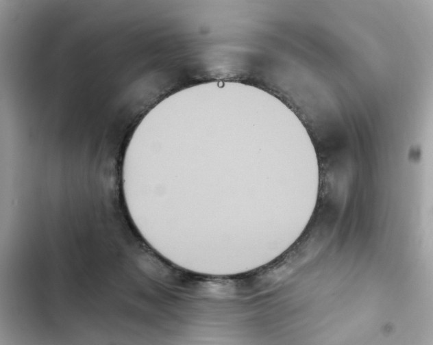 X0000102350317200808151756