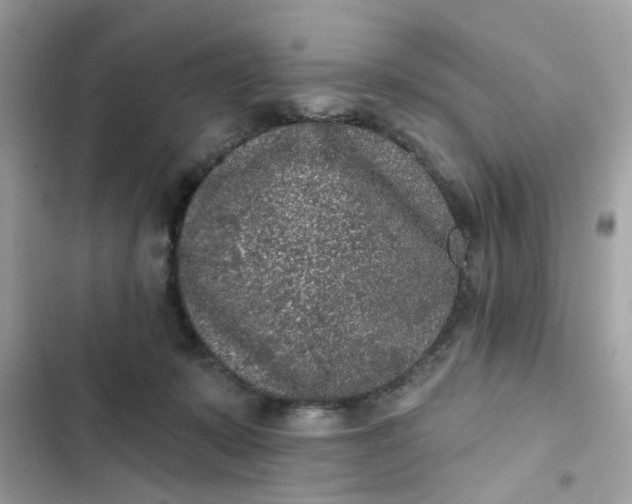 X0000102350319200808151756