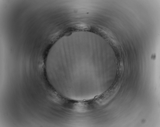 X0000102350320200808151756