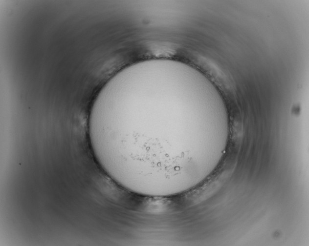 X0000102350321200808151756