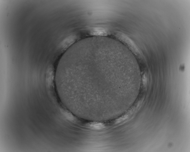 X0000102350322200808151756