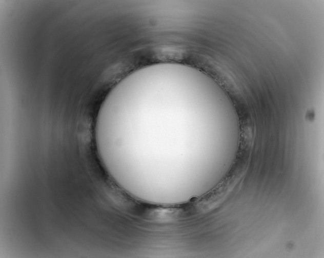 X0000102350323200808151756