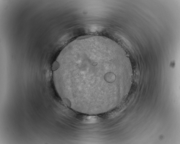 X0000102350324200808151756