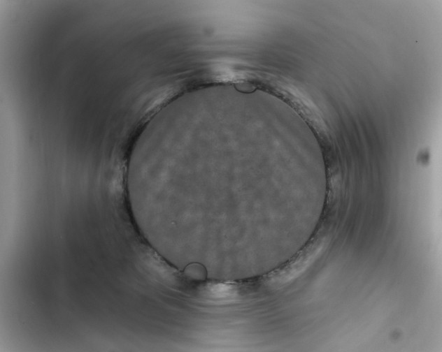 X0000102350325200808151756