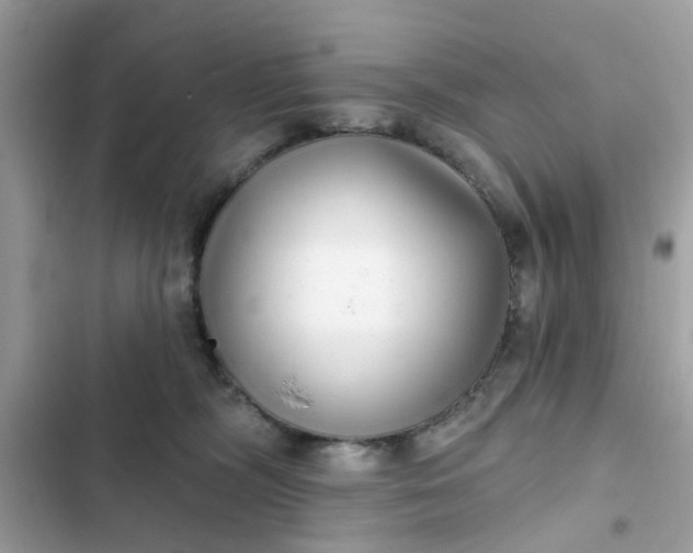 X0000102350326200808151756