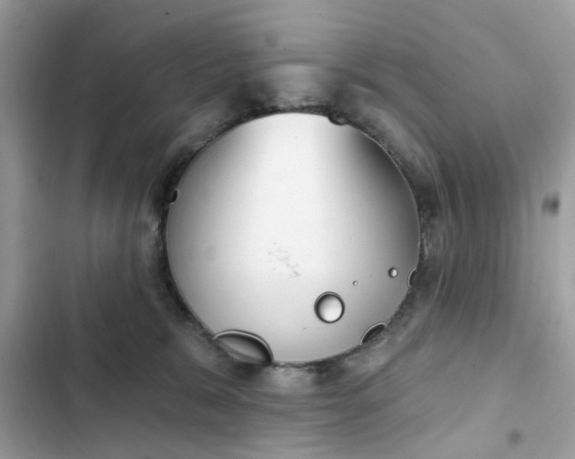 X0000102350327200808151756