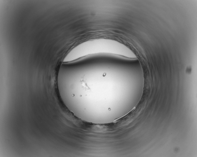 X0000102350328200808151756