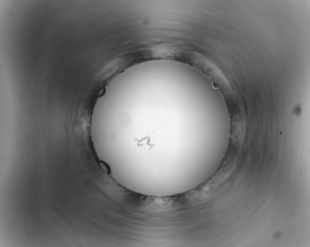 X0000102350329200808151756