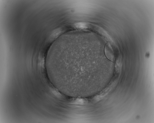 X0000102350330200808151756