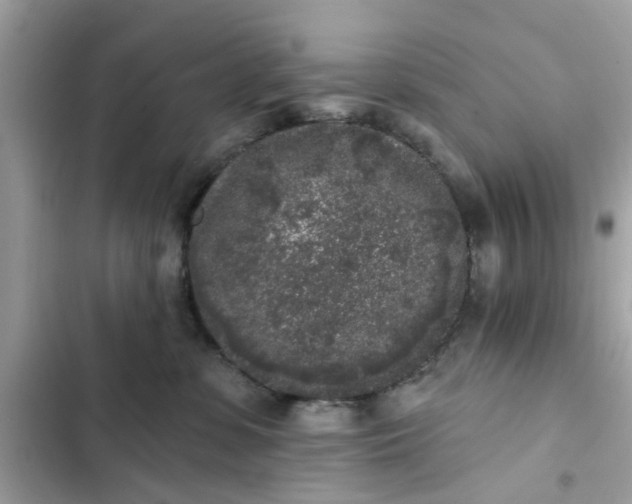 X0000102350331200808151756