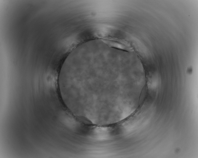 X0000102350332200808151756