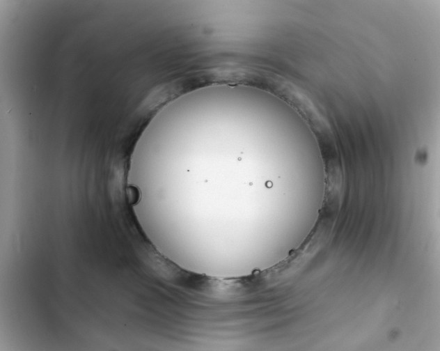 X0000102350333200808151756