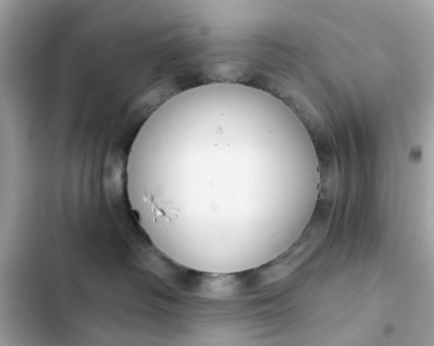 X0000102350334200808151756